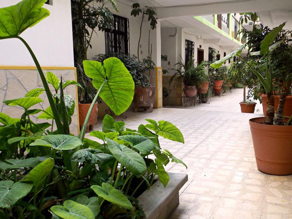 Hotel Posada Las Casas ซานกริสโตบัล เด ลาสกาซาส ภายนอก รูปภาพ